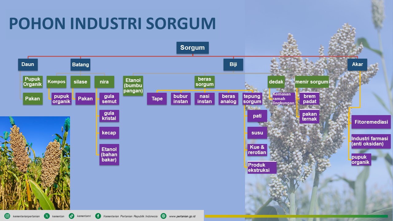 Pohon Industri Sorgum