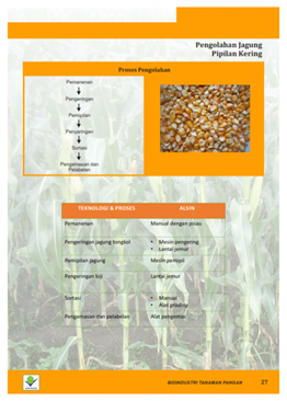 Jagung Pipilan Kering